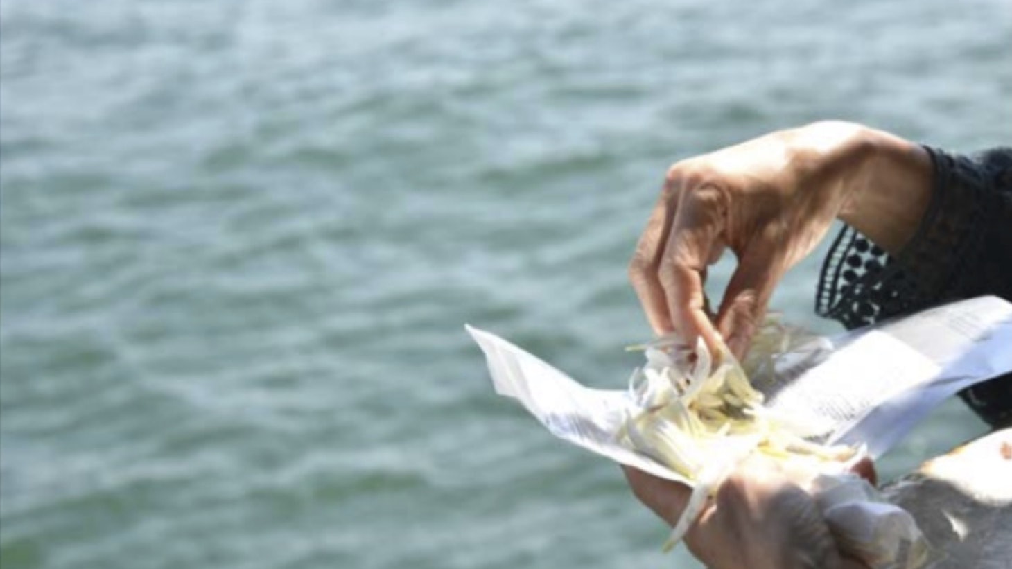 海上撒灰綠色殯葬