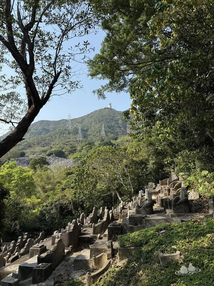 鑽石山金塔墳場山坡景觀