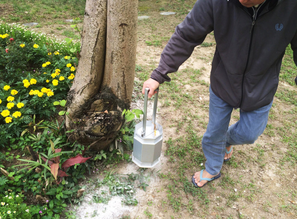 家屬在紀念花園撒放骨灰