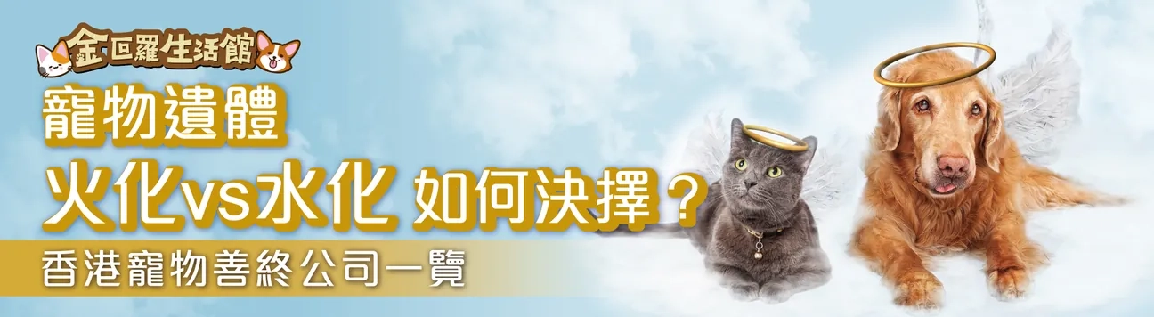 香港寵物善終公司一覽